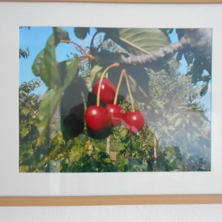 Cherry 아파트 *